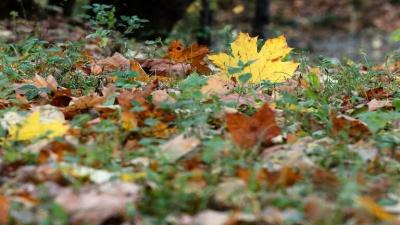 Ways the Body Adapts to Weather Changes