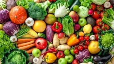 Impact of Cholera Spread on Agricultural Product Sales