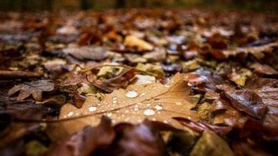 Weather Forecast for October