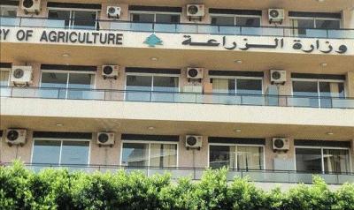 Title: Lebanon: Ministry of Agriculture Provides Shelters for Displaced Persons from the South