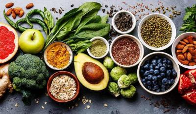 Diet to Curb Brain Aging: Learn More