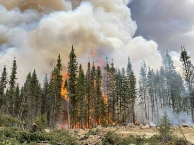 Forest Fires in Eastern Canada "Under Control"