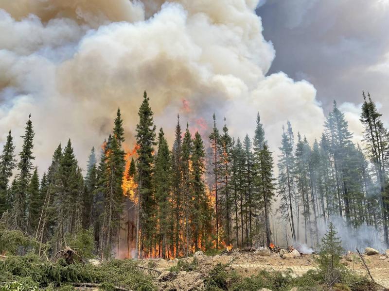 Forest Fires in Eastern Canada 