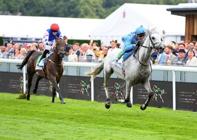"Ezenti" Wins the Al Wathba Cup for Arab Horses