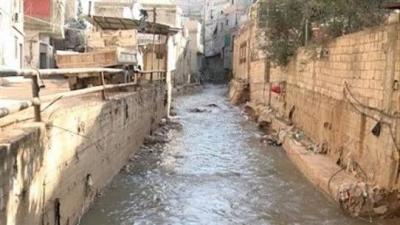 Neighbors of the Al-Ghadeer River: Life Amidst Toxins