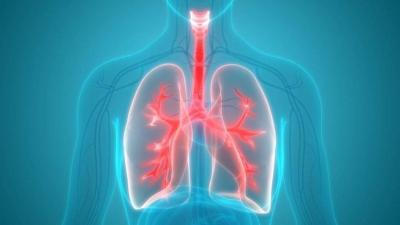 Essential Tips to Protect Your Lungs Amid Respiratory Illnesses
