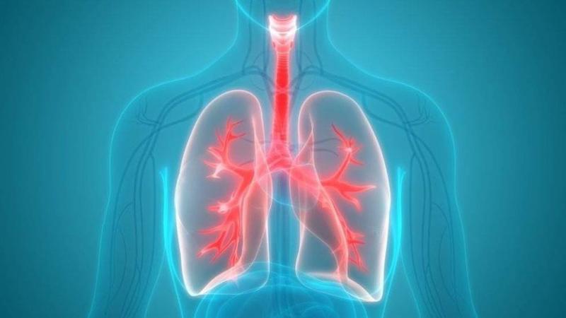 Essential Tips to Protect Your Lungs Amid Respiratory Illnesses