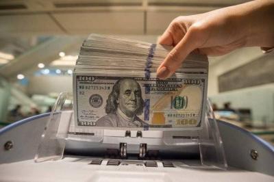 Unjustified Fluctuations of the Dollar: Will it Reach 38,000?