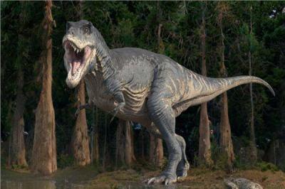 The Real Reason Behind Dinosaur Extinction