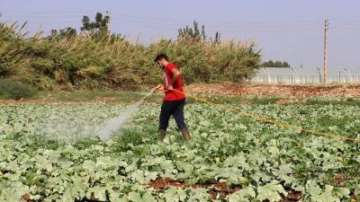 Cholera in Akkar... and Farmer Misfortunes