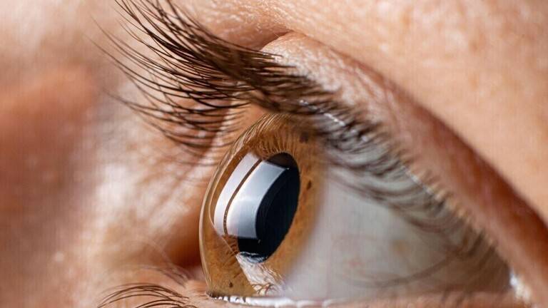 What is the Relationship Between Blindness and Cardiovascular Diseases?