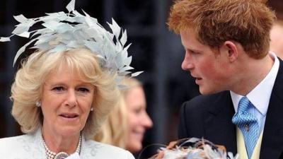 "Dangerous and Evil": Prince Harry Reveals What Camilla Did for the Crown