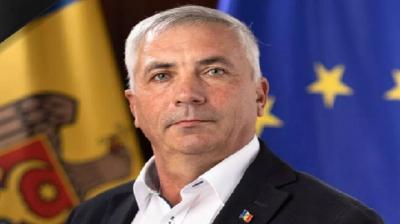 Death of Moldovan MP Due to Wasp Stings