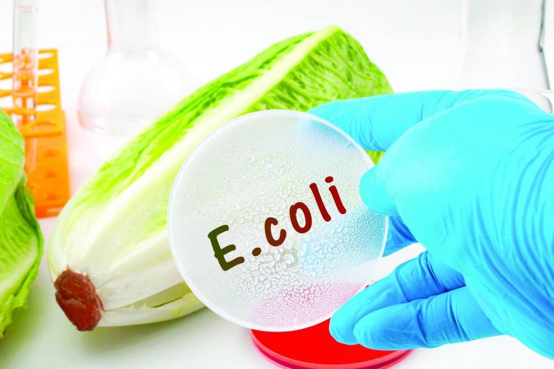 New Death from E. coli in Britain