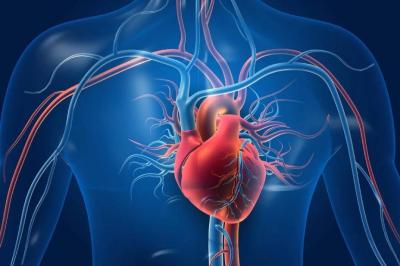 Impressive Results from an Innovative Technology that Remodels Blood Vessels and Activates Heart Muscle Cells