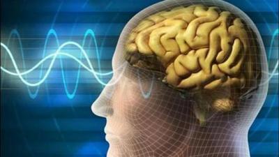 Bad Habits That Destroy the Brain