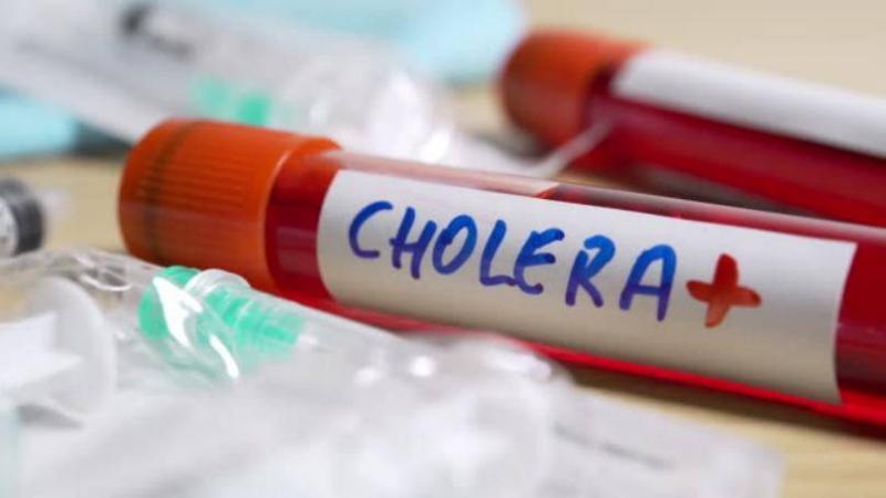 White: 190,000 Doses Against Cholera and We Continue