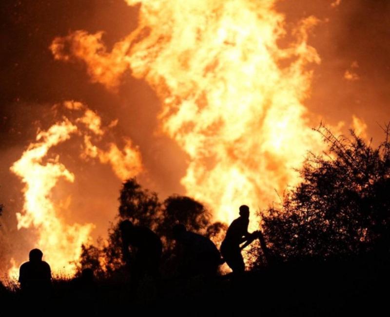 Title: Turkey: Wildfire Spreads to Residential Areas in Izmir