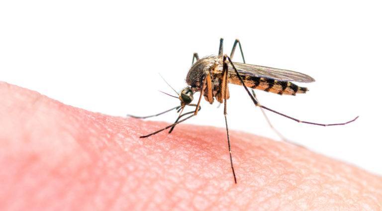 Jordan Records First Case of West Nile Fever