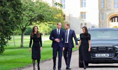 Harry Reveals Details of William's Assault on Him