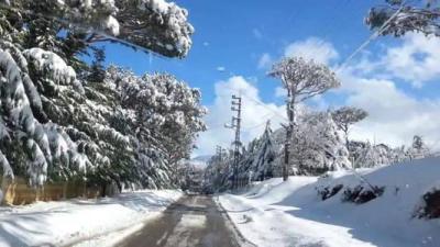 Weather Forecast for Lebanon
