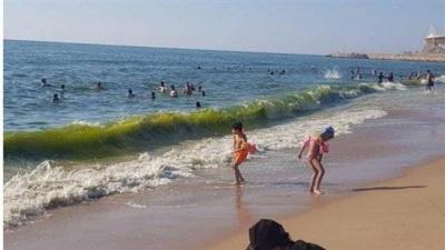 إخضرار البحر بسبب تلوّث 
