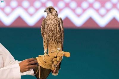 # Launch of the King Abdulaziz Falcon Festival with Valuable Financial Prizes