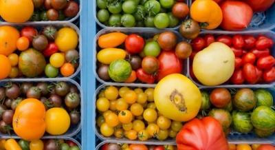 Sources of Tomato Colors and Their Nutritional Properties