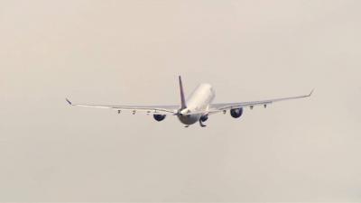Video: Fight on Board a Plane at an Arab Airport!