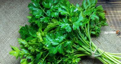 During Summer: 10 Herbs to Help Lower Cholesterol