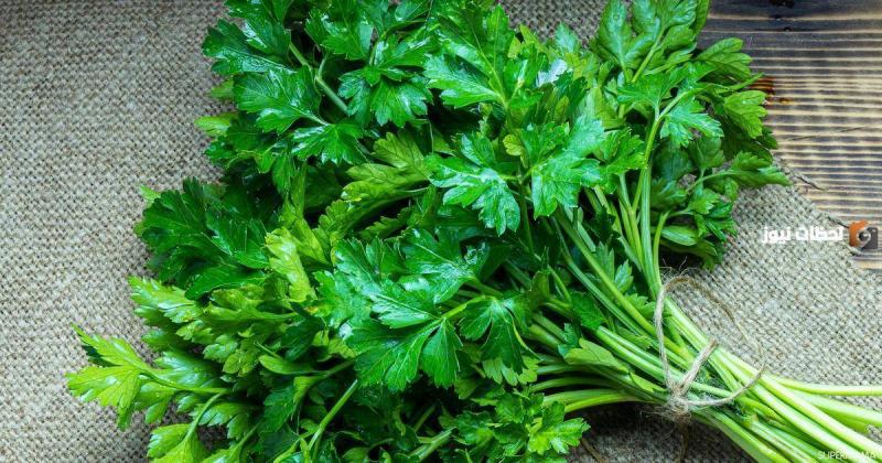 During Summer: 10 Herbs to Help Lower Cholesterol