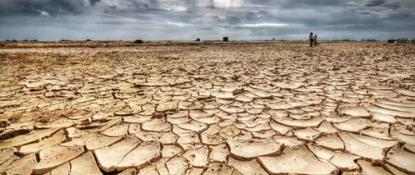 The Arab League Calls for Action to Address Drought with Women's Support