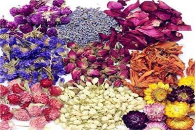 Edible Flowers That Can Be Used as Spices
