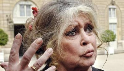 Brigitte Bardot's Letter to Erdoğan: What Did She Request?