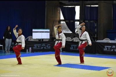 Results of the Second Stage of the Lebanese Taekwondo League - Poomsae