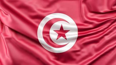 Tunisia: Shepherd Injured by Mine Explosion in Mount Mghila, Kasserine