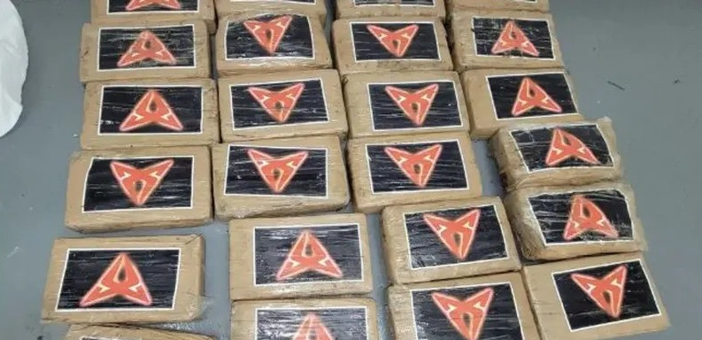 How Did Cocaine Reach Florida's Shores?