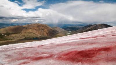 Video - Glaciers Turning Red!