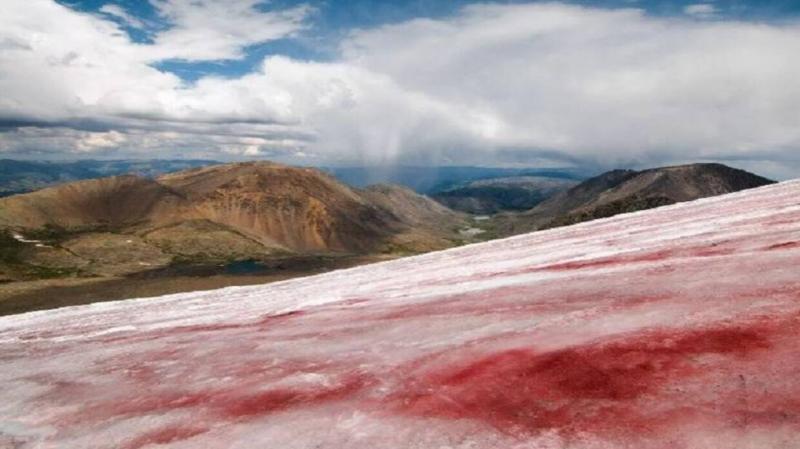 Video - Glaciers Turning Red!