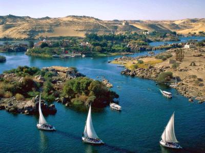 Outing Turns into Tragedy: Yacht Sinks in the Nile