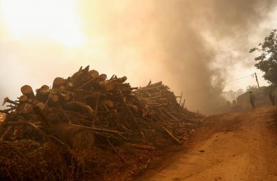 Climate Approaches a Point of No Return... Record High Temperatures