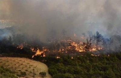 Syria: Preparedness in Lattakia Countryside to Extinguish Fires Continuing for 5 Days