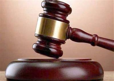 Explanation of the Reasons for the German Court's Cancellation of the Arrest Warrant Against Salameh