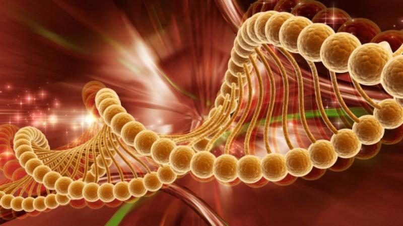 Success of Clinical Trials for Russian Anti-Cancer Drug