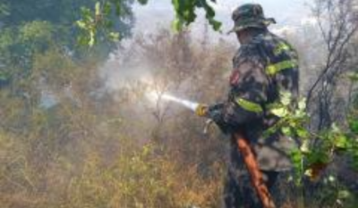 Lebanon: Fire Destroys Over 3,000 Trees, Arson Suspected