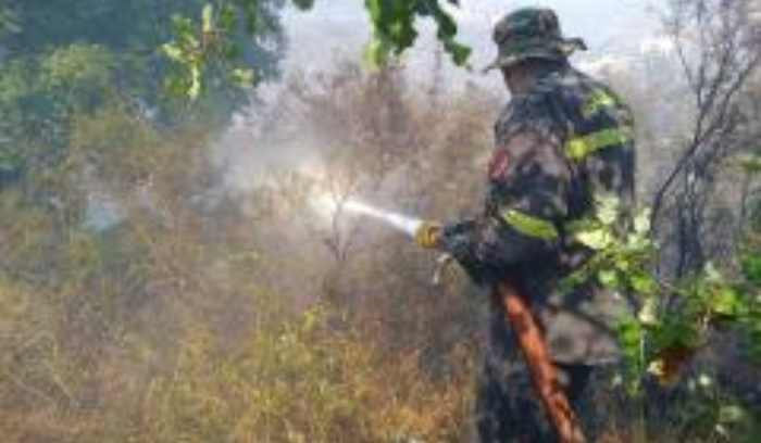 Lebanon: Fire Destroys Over 3,000 Trees, Arson Suspected