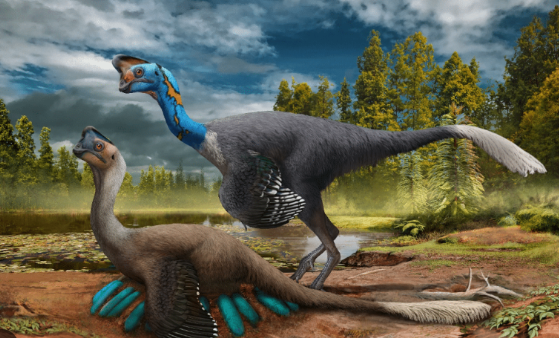 Dinosaur Fossil Puzzles Scientists: Birds with Feathers and Wings