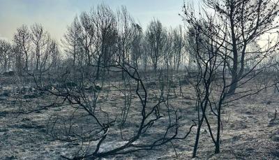 Civil Defense: Fires Extinguished in Border Towns; One Member Injured
