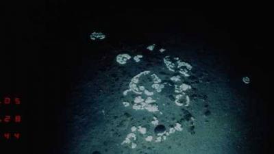 New Discovery in the Depths of the Ocean