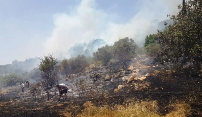 Video and Photos: Wildfires Spread Across Various Lebanese Regions